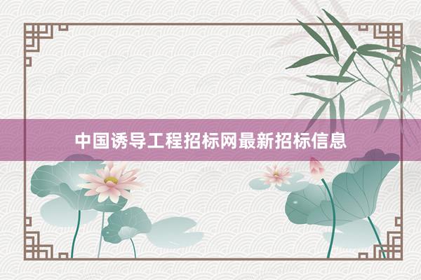 中国诱导工程招标网最新招标信息